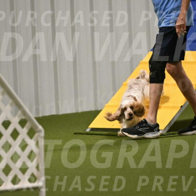 Jameson-David-Thorley-06942