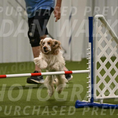 Jameson-David-Thorley-06943