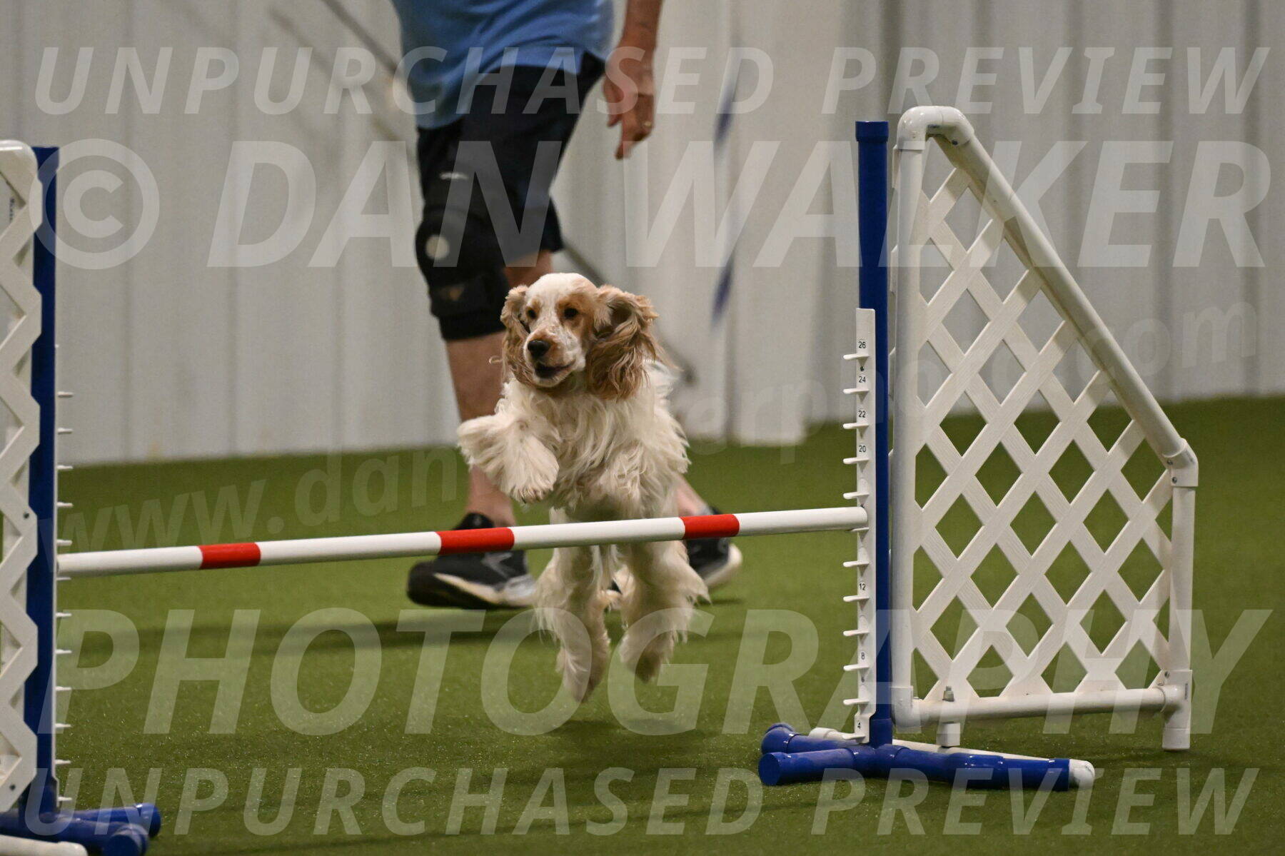 Jameson-David-Thorley-06943