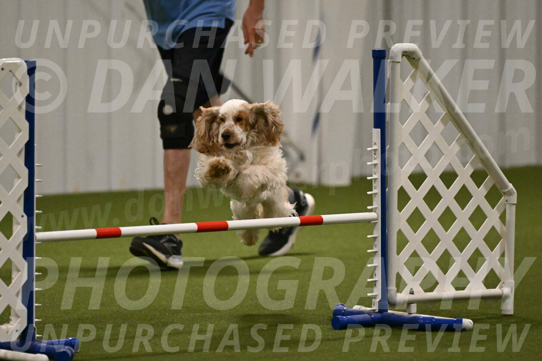 Jameson-David-Thorley-06944