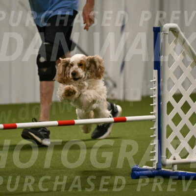 Jameson-David-Thorley-06944