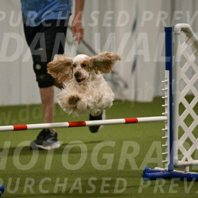 Jameson-David-Thorley-06945