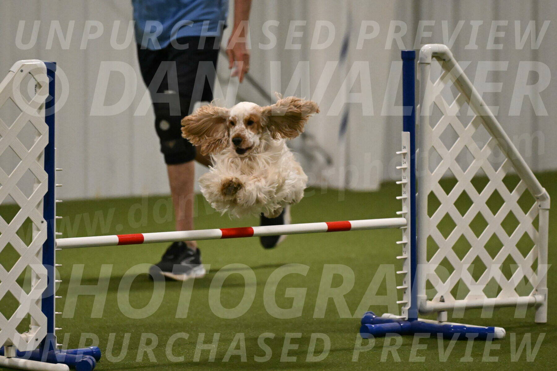 Jameson-David-Thorley-06945