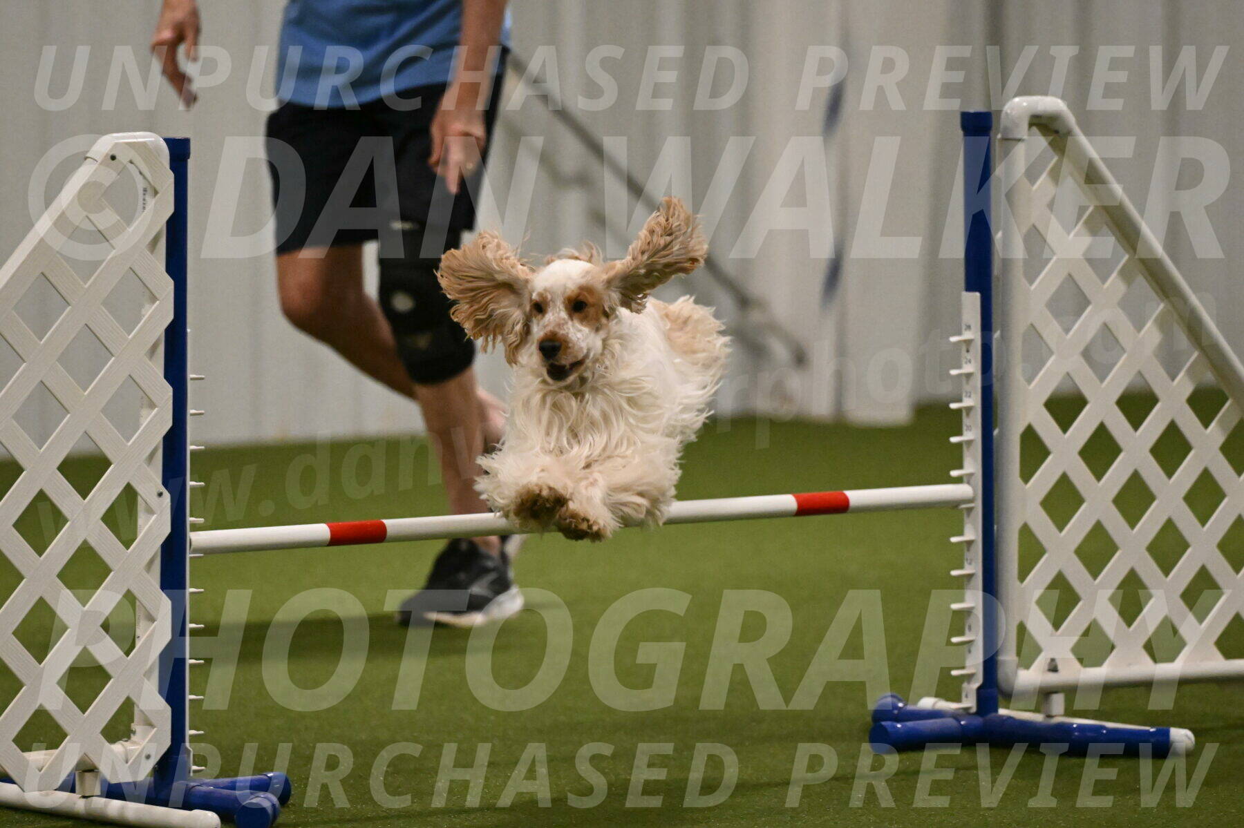 Jameson-David-Thorley-06946