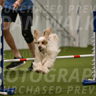 Jameson-David-Thorley-06947