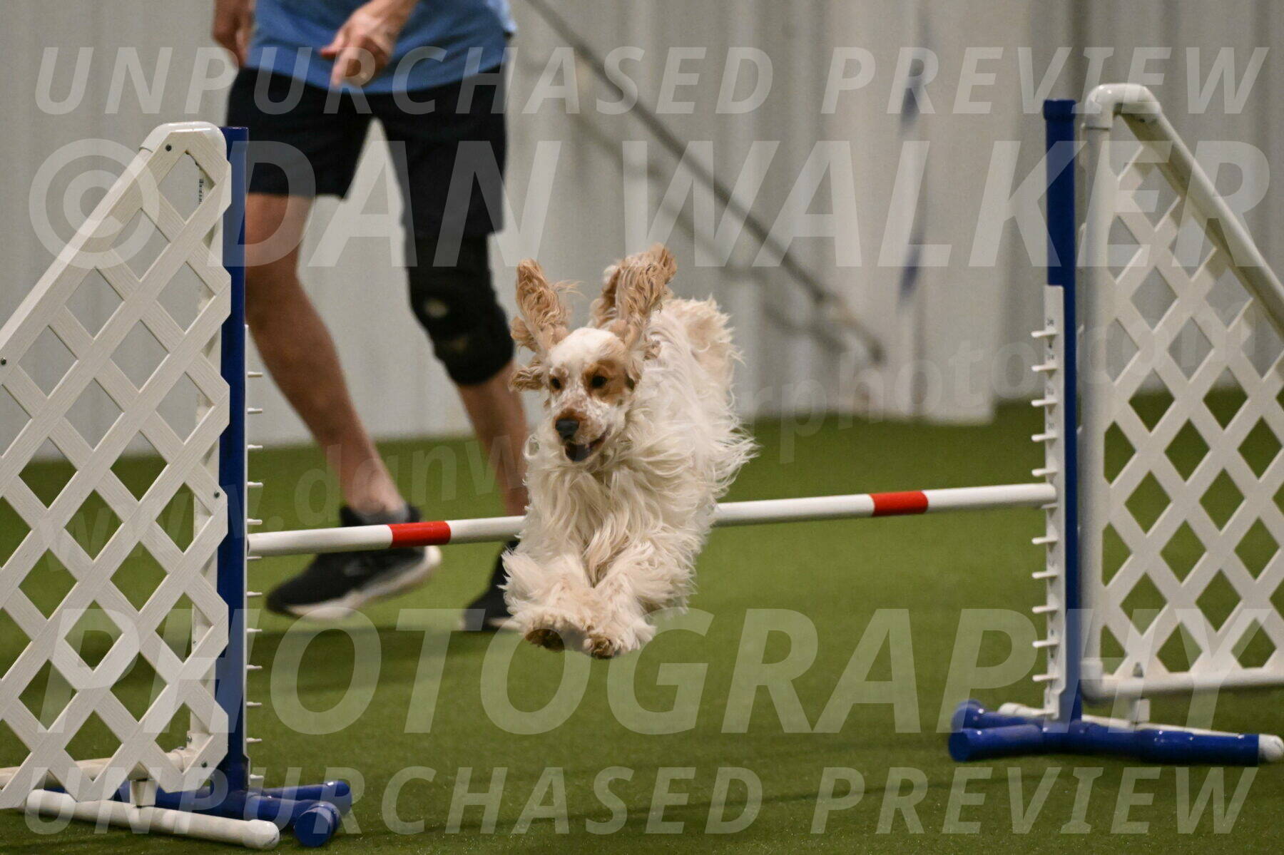 Jameson-David-Thorley-06947