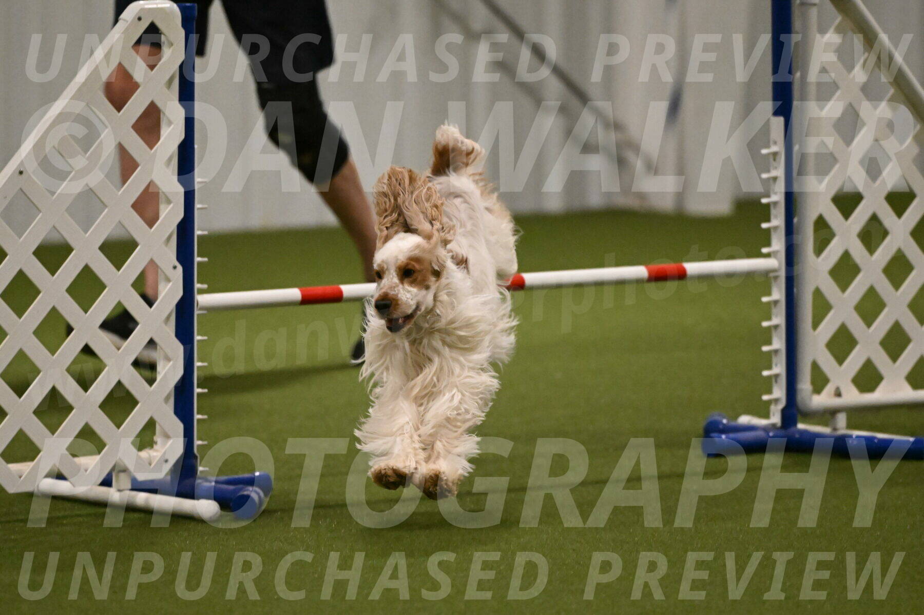 Jameson-David-Thorley-06948