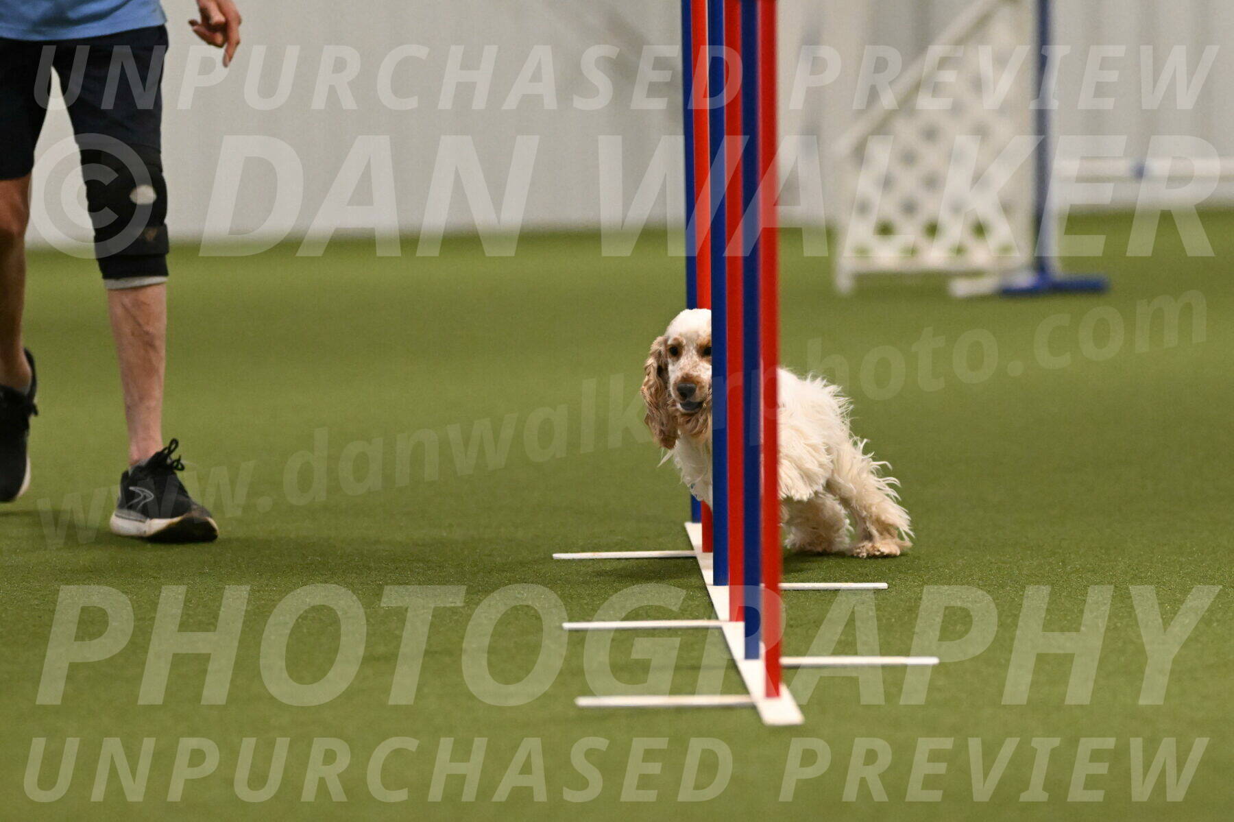 Jameson-David-Thorley-06949