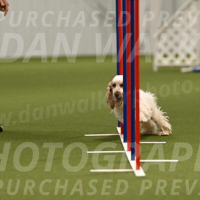 Jameson-David-Thorley-06949