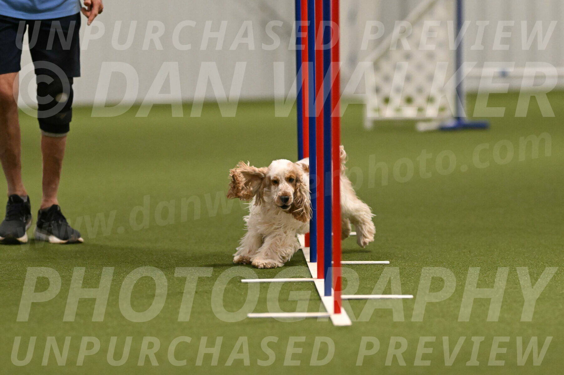 Jameson-David-Thorley-06950