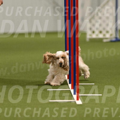 Jameson-David-Thorley-06950