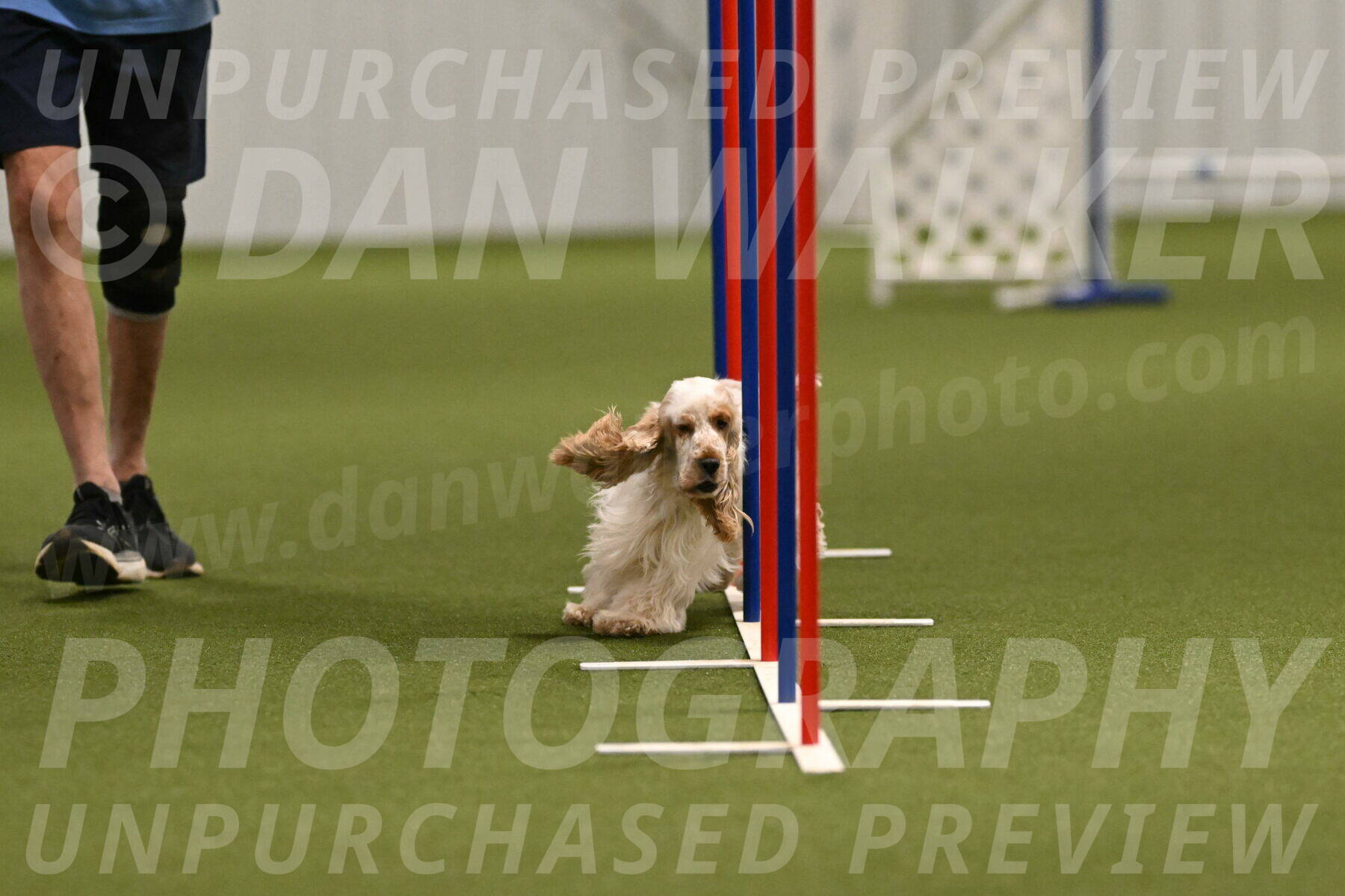 Jameson-David-Thorley-06951