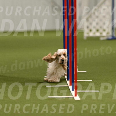 Jameson-David-Thorley-06951