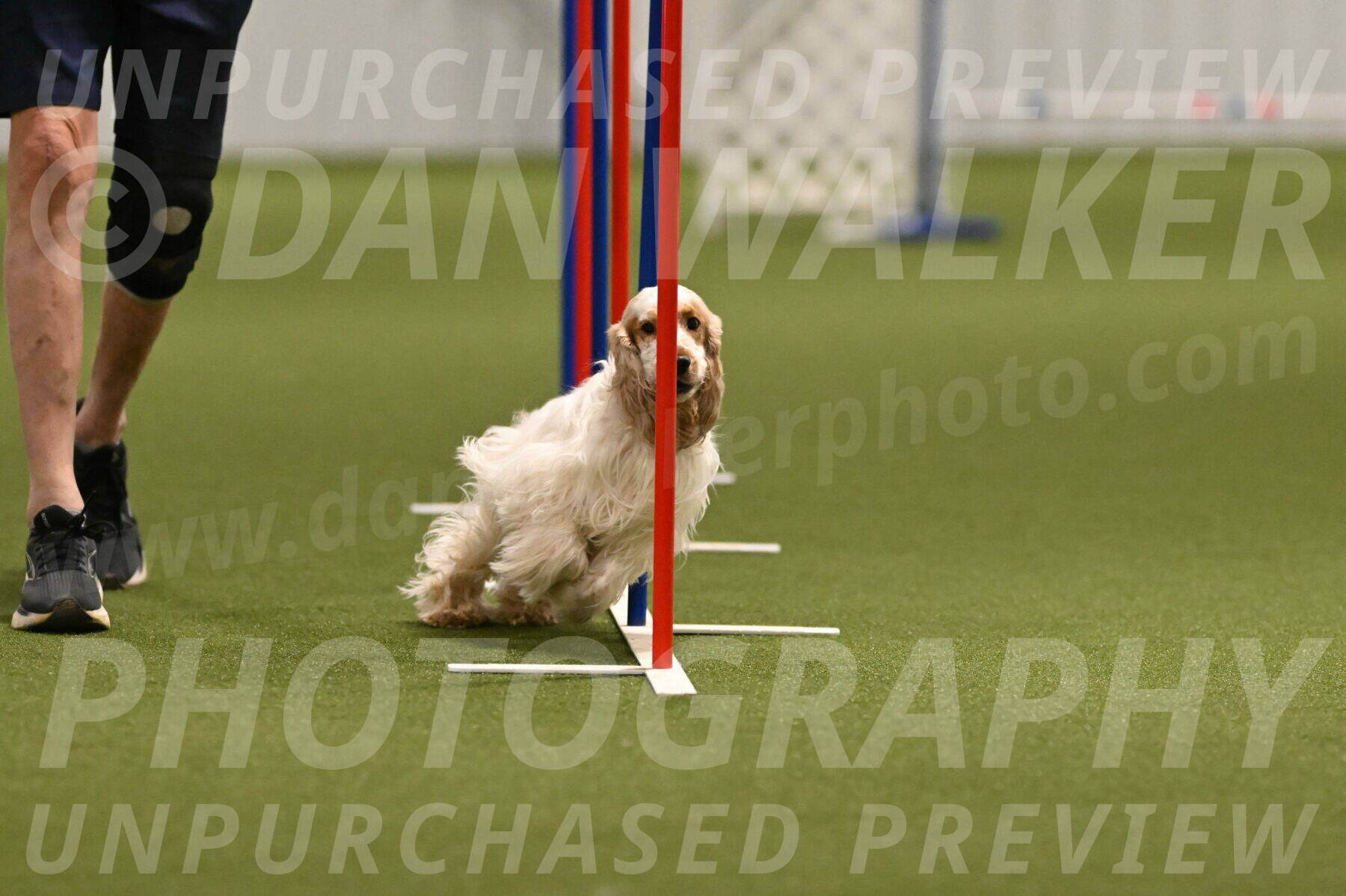 Jameson-David-Thorley-06952