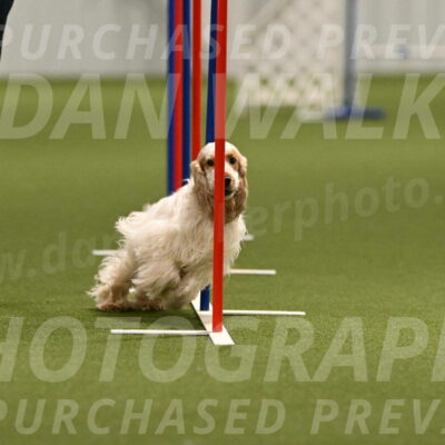 Jameson-David-Thorley-06952