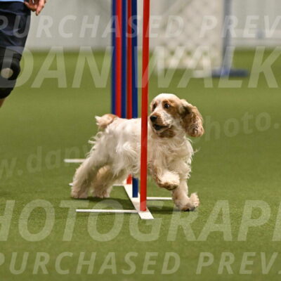 Jameson-David-Thorley-06953