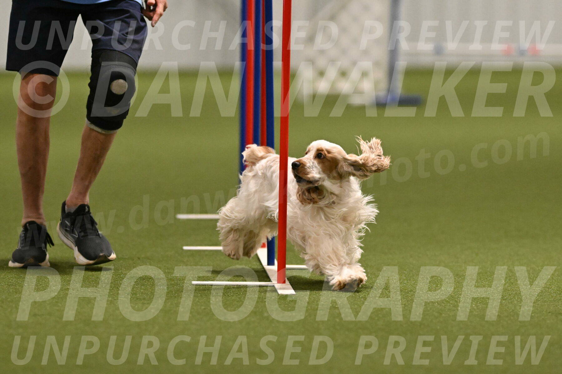 Jameson-David-Thorley-06954