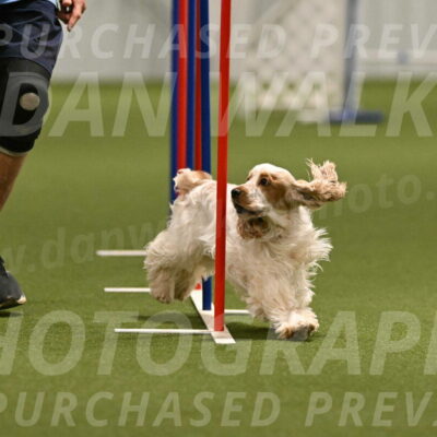 Jameson-David-Thorley-06954