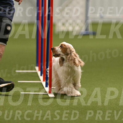 Jameson-David-Thorley-06955