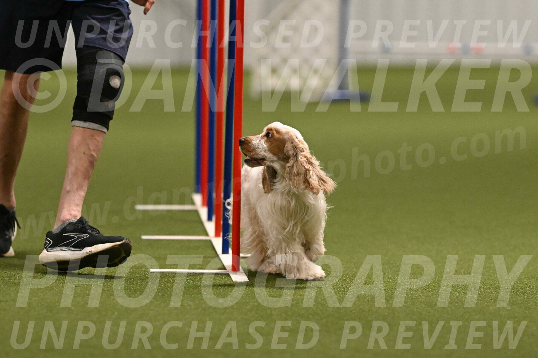 Jameson-David-Thorley-06955