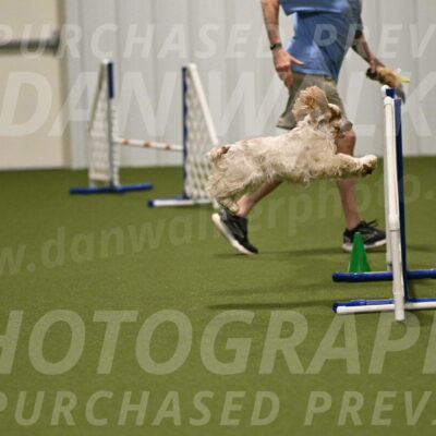 Jameson-David-Thorley-06956