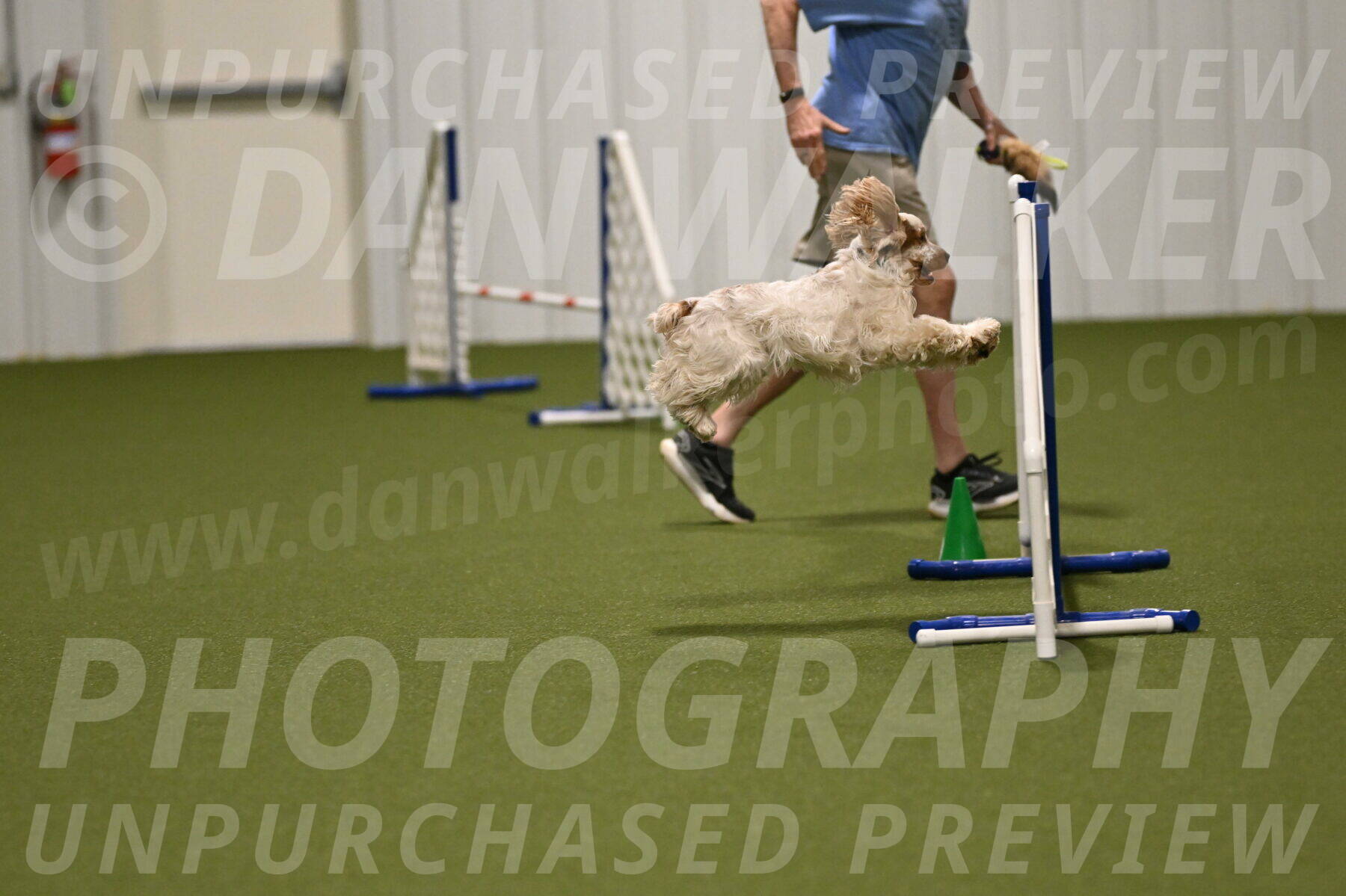 Jameson-David-Thorley-06956