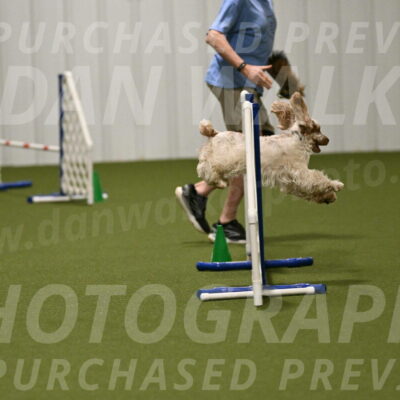 Jameson-David-Thorley-06957