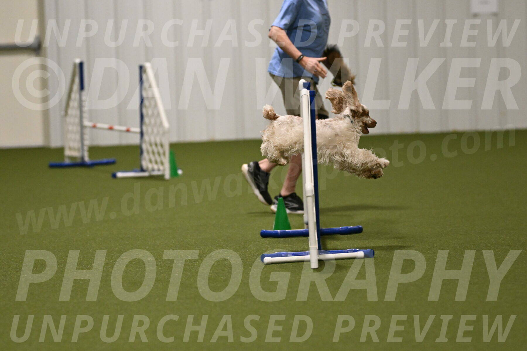 Jameson-David-Thorley-06957