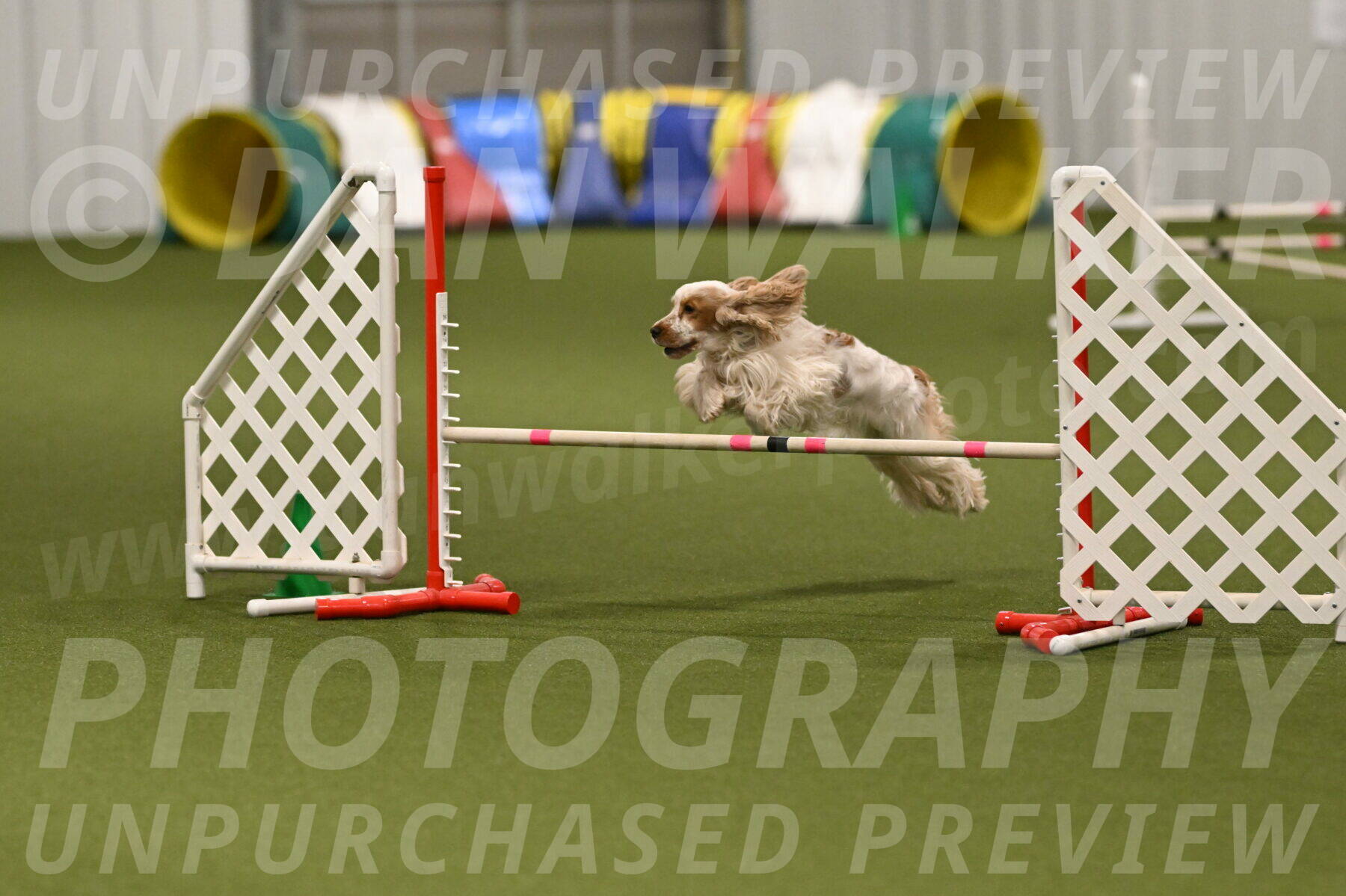 Jameson-David-Thorley-06958