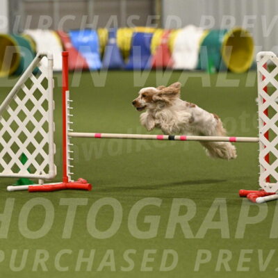 Jameson-David-Thorley-06958