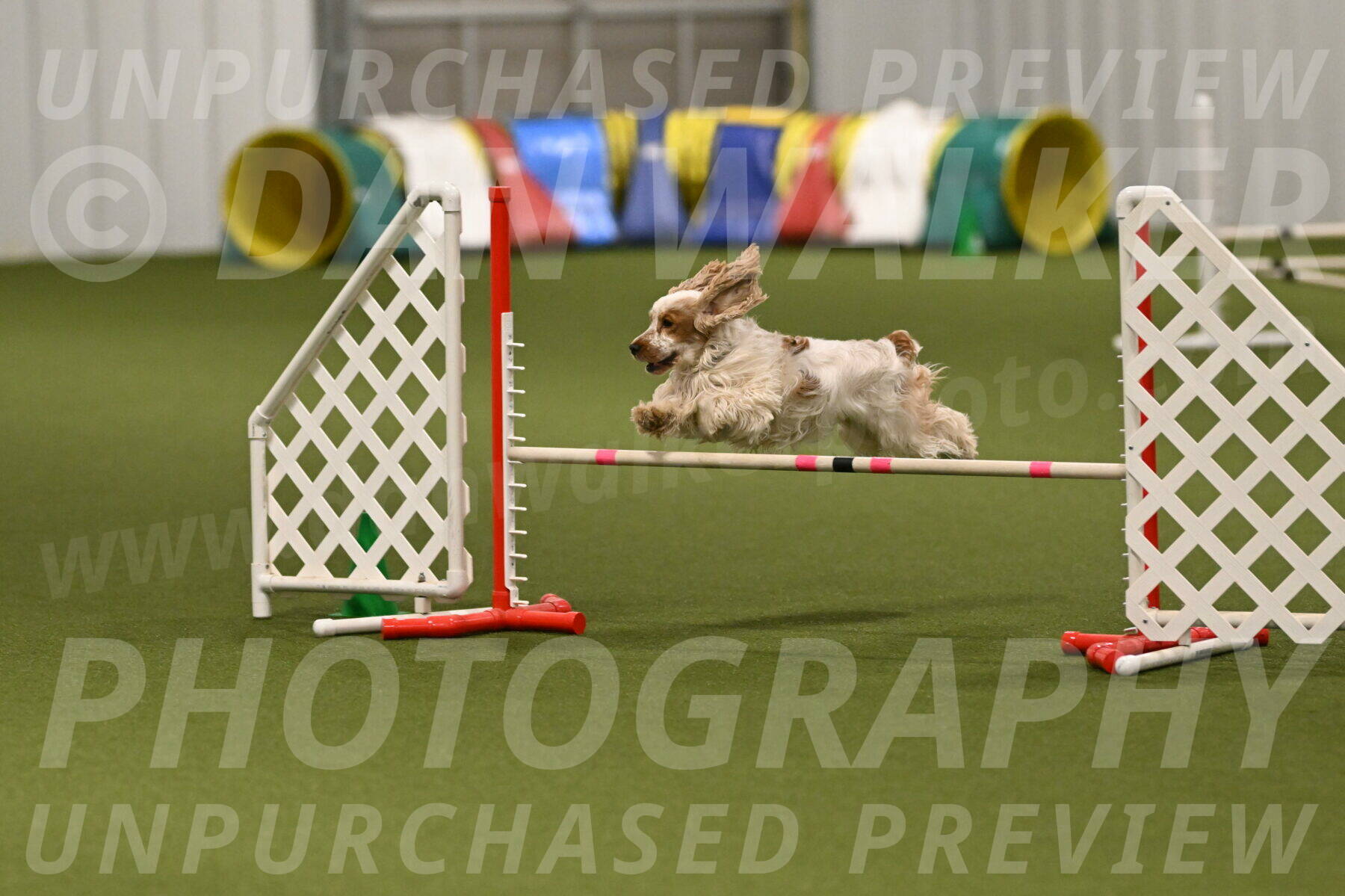 Jameson-David-Thorley-06959