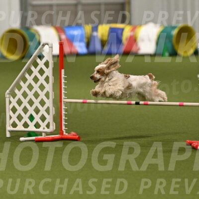 Jameson-David-Thorley-06959