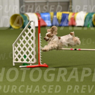 Jameson-David-Thorley-06960