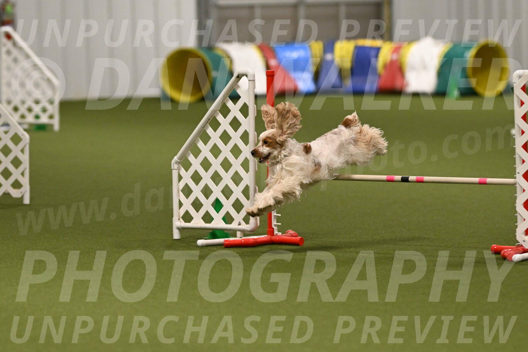 Jameson-David-Thorley-06961