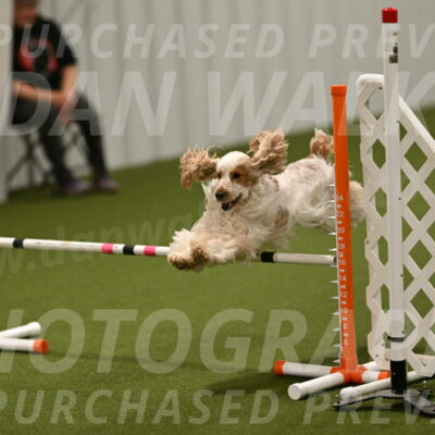 Jameson-David-Thorley-06964