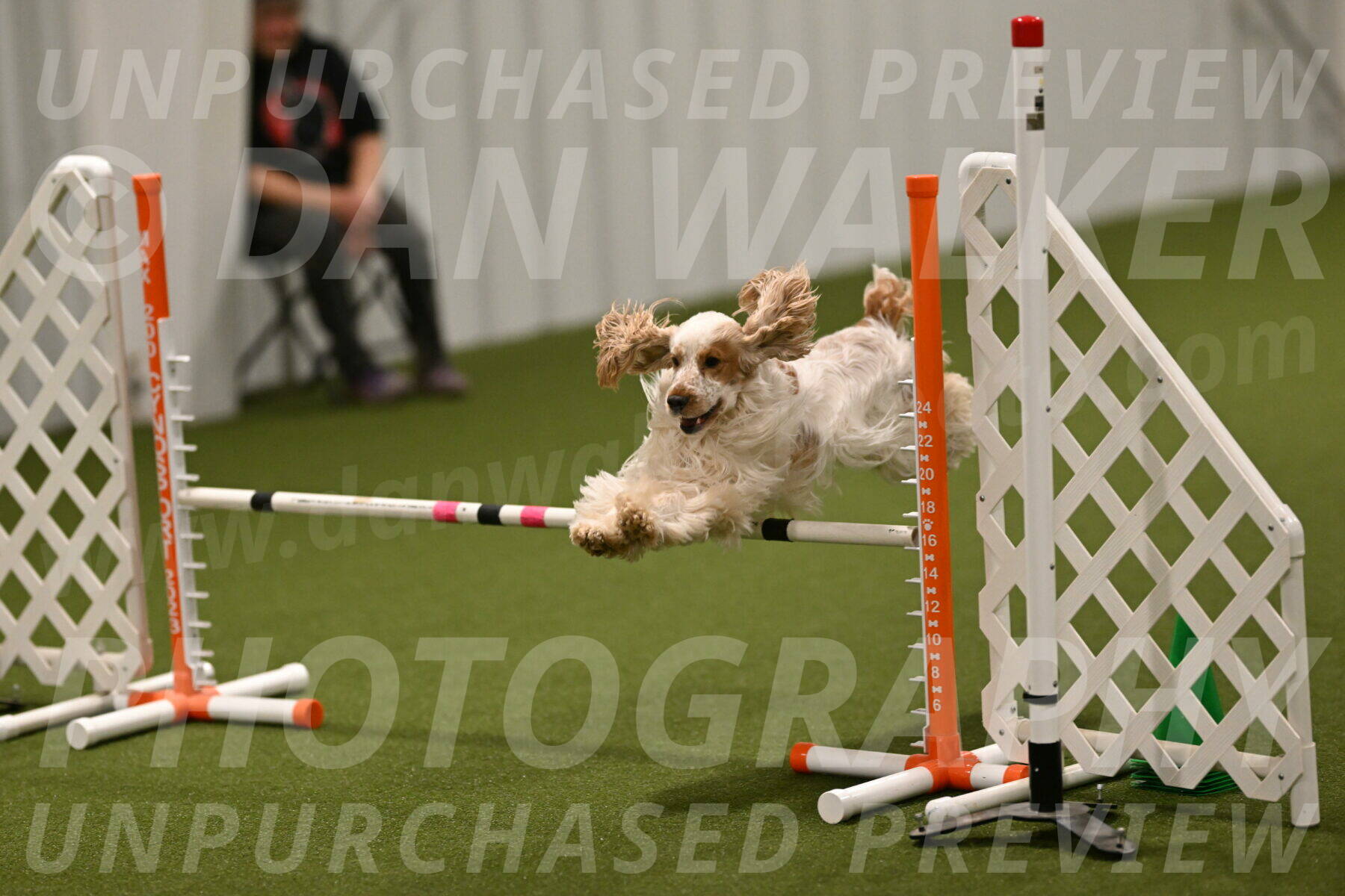 Jameson-David-Thorley-06964