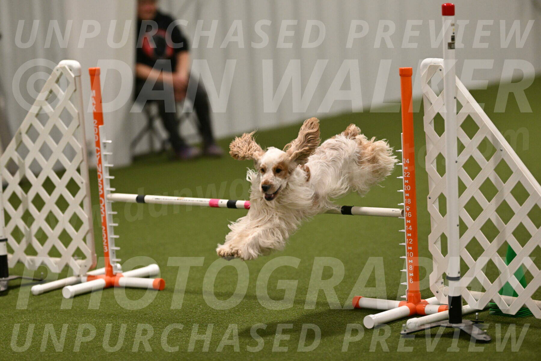 Jameson-David-Thorley-06965