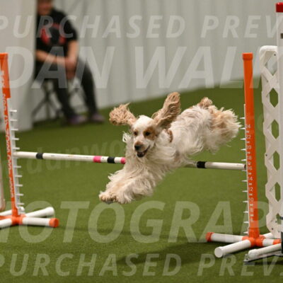 Jameson-David-Thorley-06965