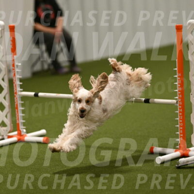 Jameson-David-Thorley-06966