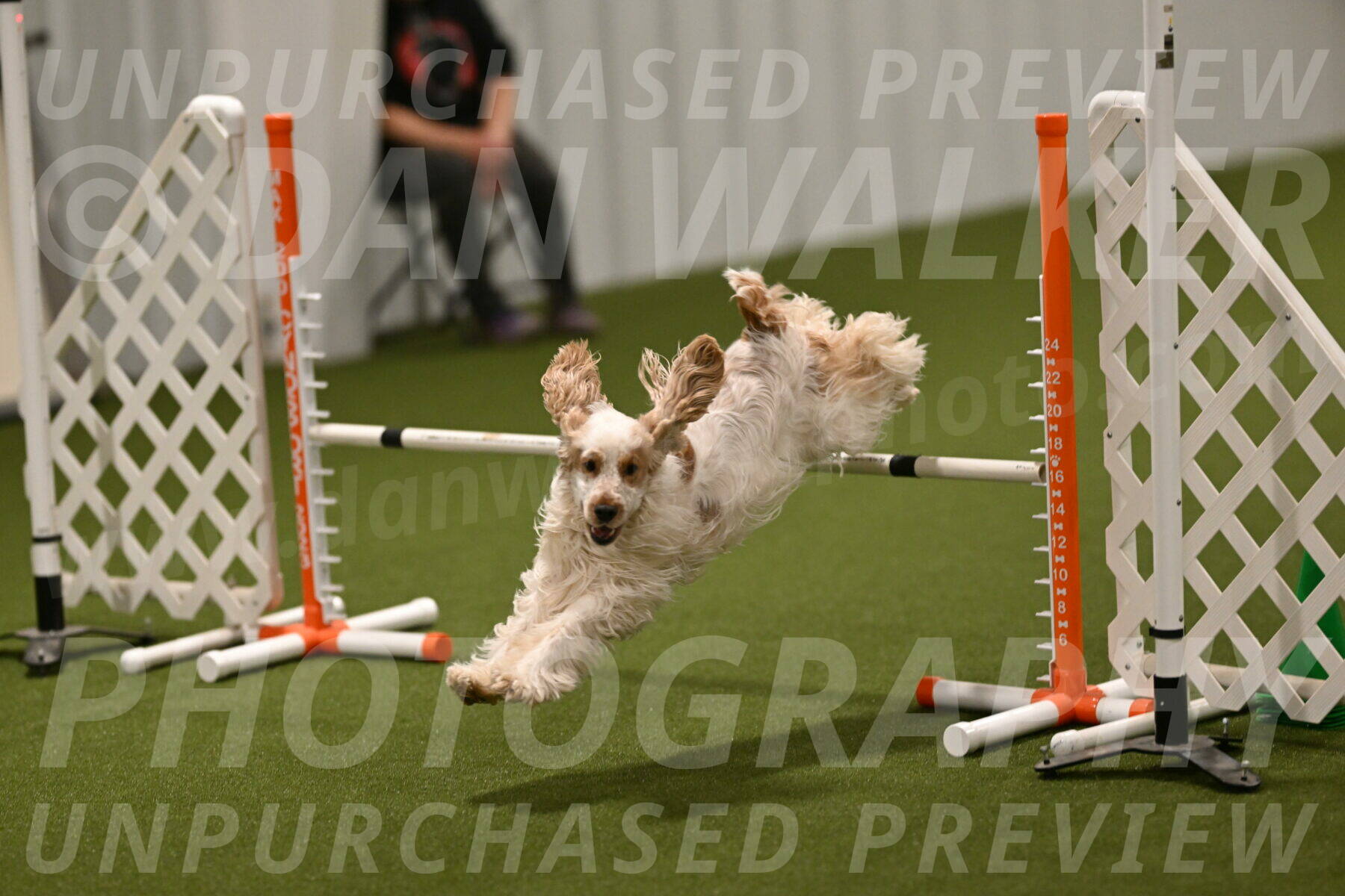 Jameson-David-Thorley-06966