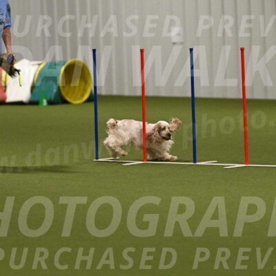 Jameson-David-Thorley-06967