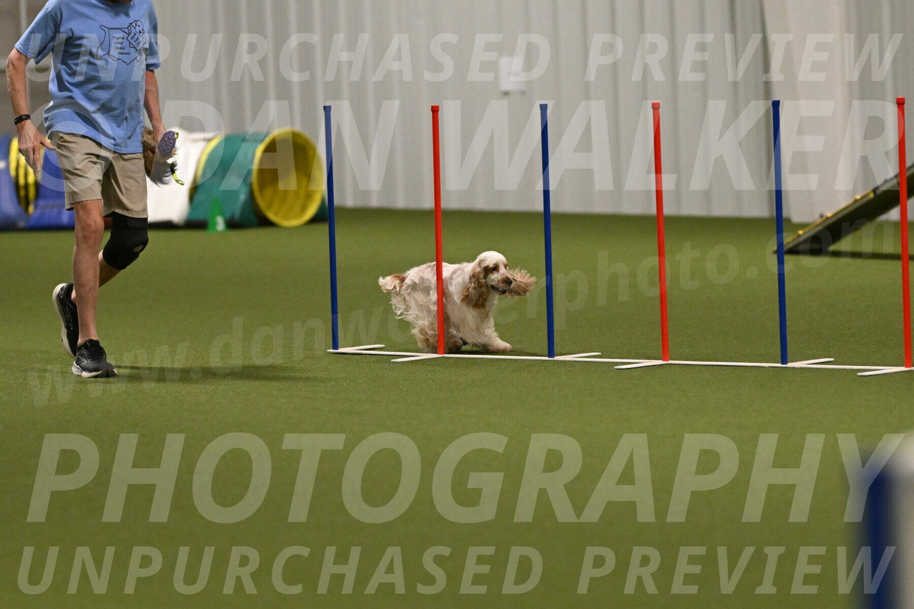 Jameson-David-Thorley-06968