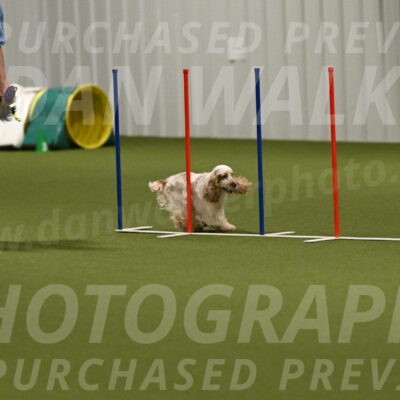 Jameson-David-Thorley-06968