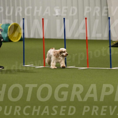 Jameson-David-Thorley-06969