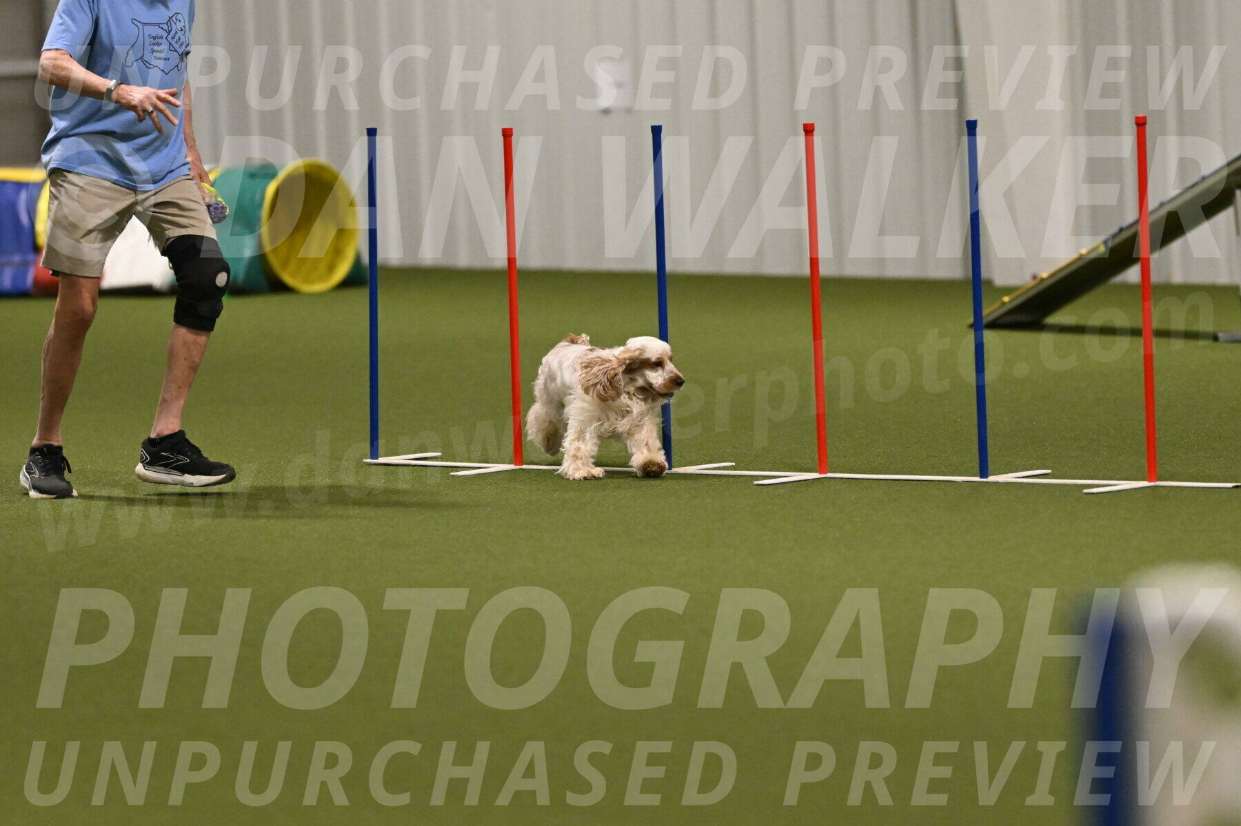 Jameson-David-Thorley-06969