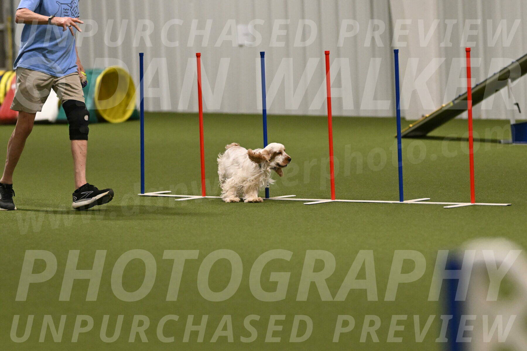 Jameson-David-Thorley-06970