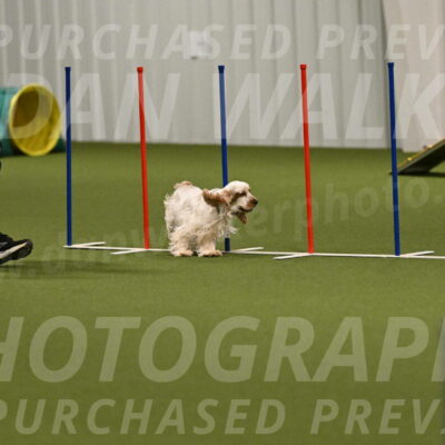 Jameson-David-Thorley-06970