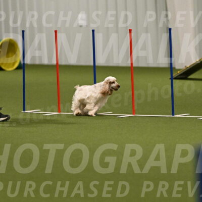 Jameson-David-Thorley-06971