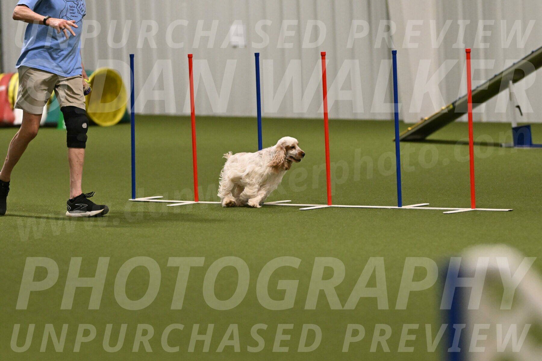 Jameson-David-Thorley-06971