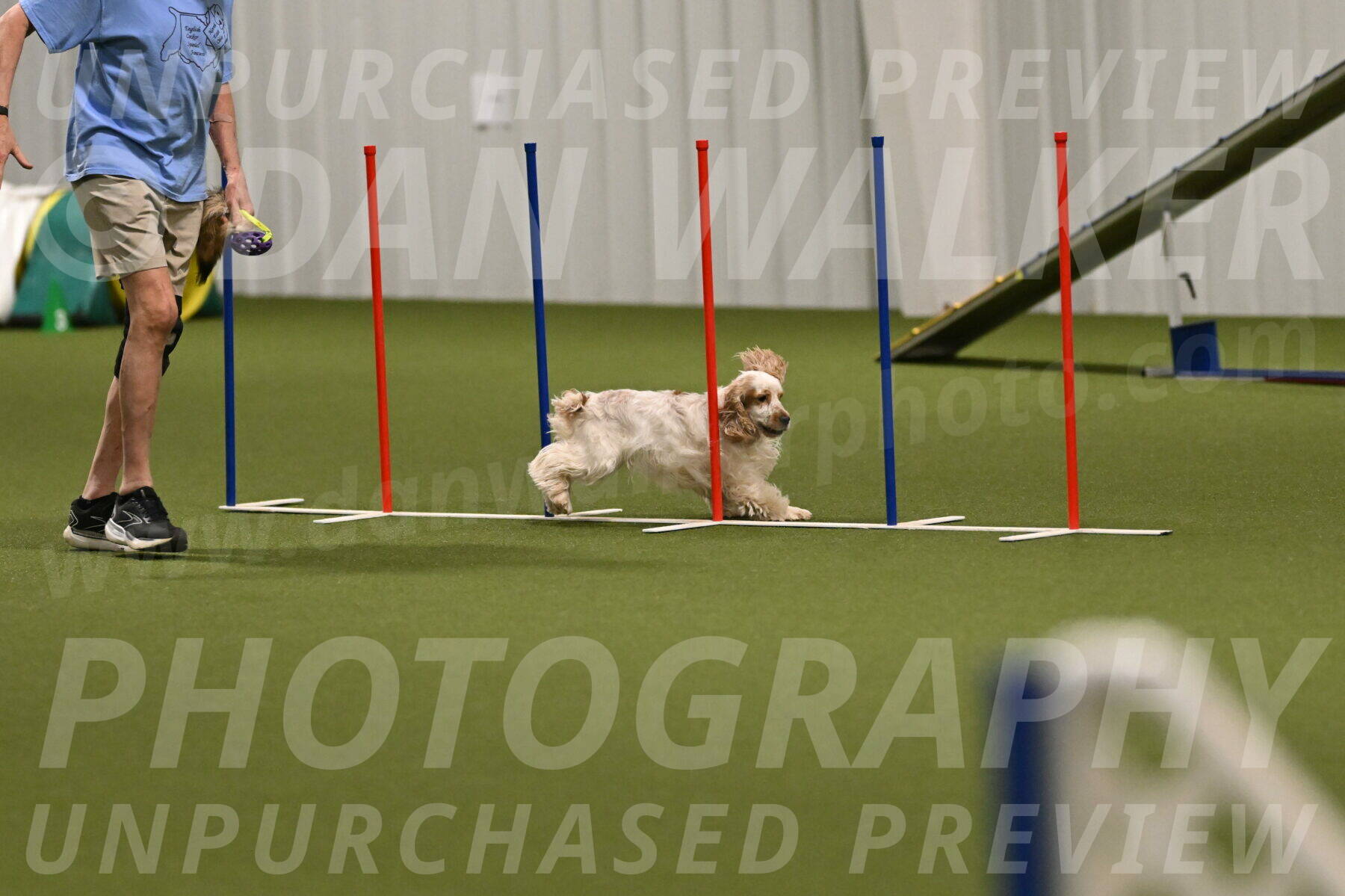 Jameson-David-Thorley-06972